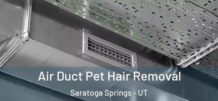 Air Duct Pet Hair Removal Saratoga Springs - UT