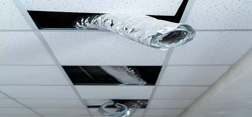 Our Air Duct Pet Hair Removal Services in Saratoga Springs, UT