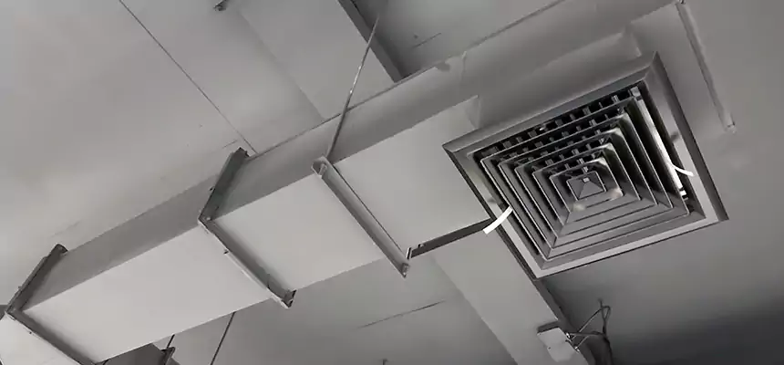 Our Rodent Droppings In Vents Services in Saratoga Springs, UT