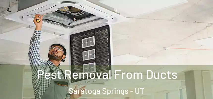  Pest Removal From Ducts Saratoga Springs - UT