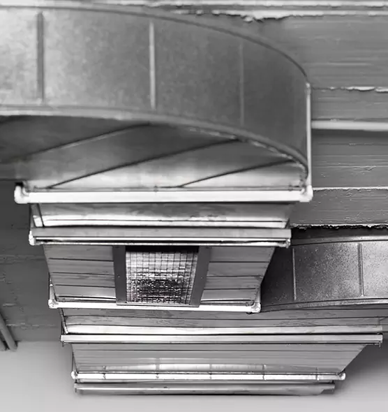 Professional Air Duct Pest Removal in Saratoga Springs, UT