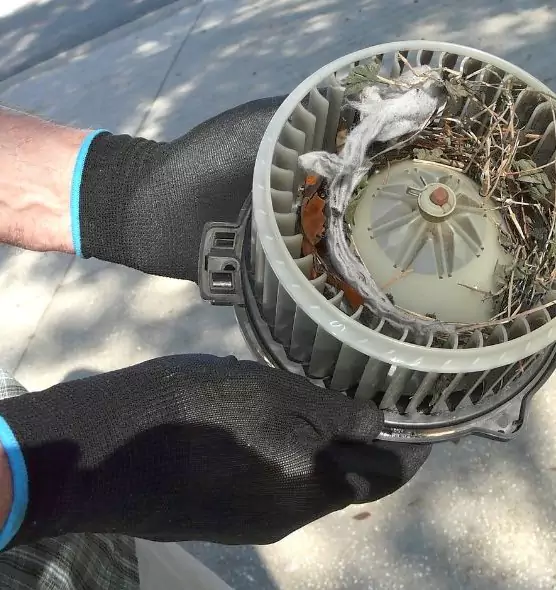 About Air Duct Rat Removal in Saratoga Springs, UT